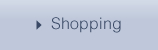 Shopping