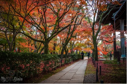 Autumn in Japan