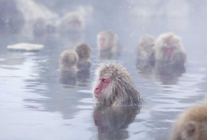 japanese onsen manner