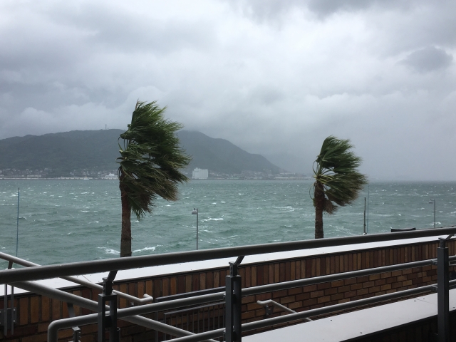 Typhoons in fukuoka