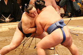 Sumo Wrestling